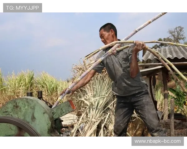 爱博体育：移动端投注的便捷性与操作流程介绍